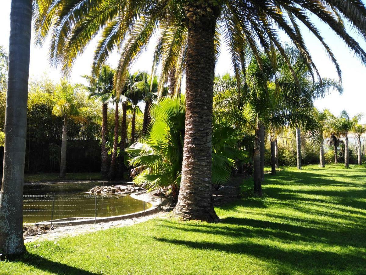 TentugalQuinta Do Mourao别墅 外观 照片
